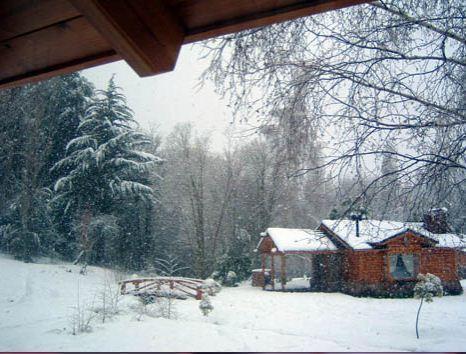 En El Corazon Del Bosque San Carlos de Bariloche